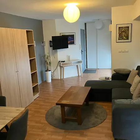 Apartment Grand Centre St Pierre