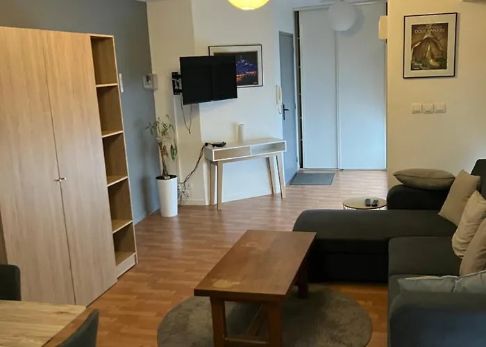 Apartment Grand Centre St Pierre